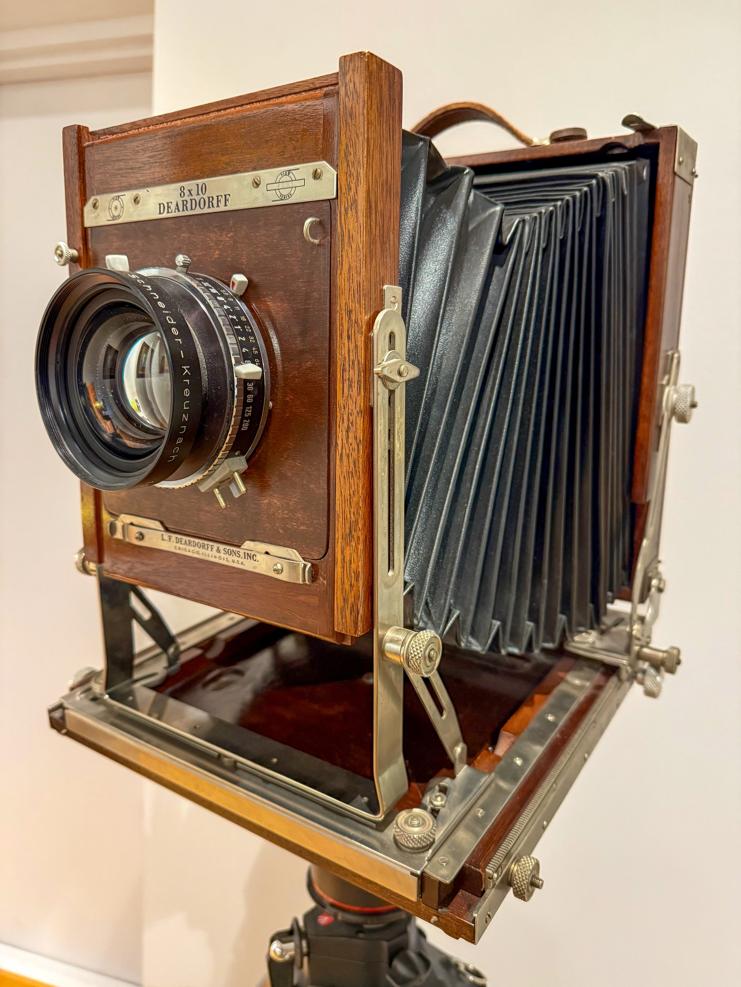 Захлестнуло волной «Междумирья» Матушки Медоуз. Студия фото, видеографии и мультимедийного дизайна в Москве Multi Frame Studio