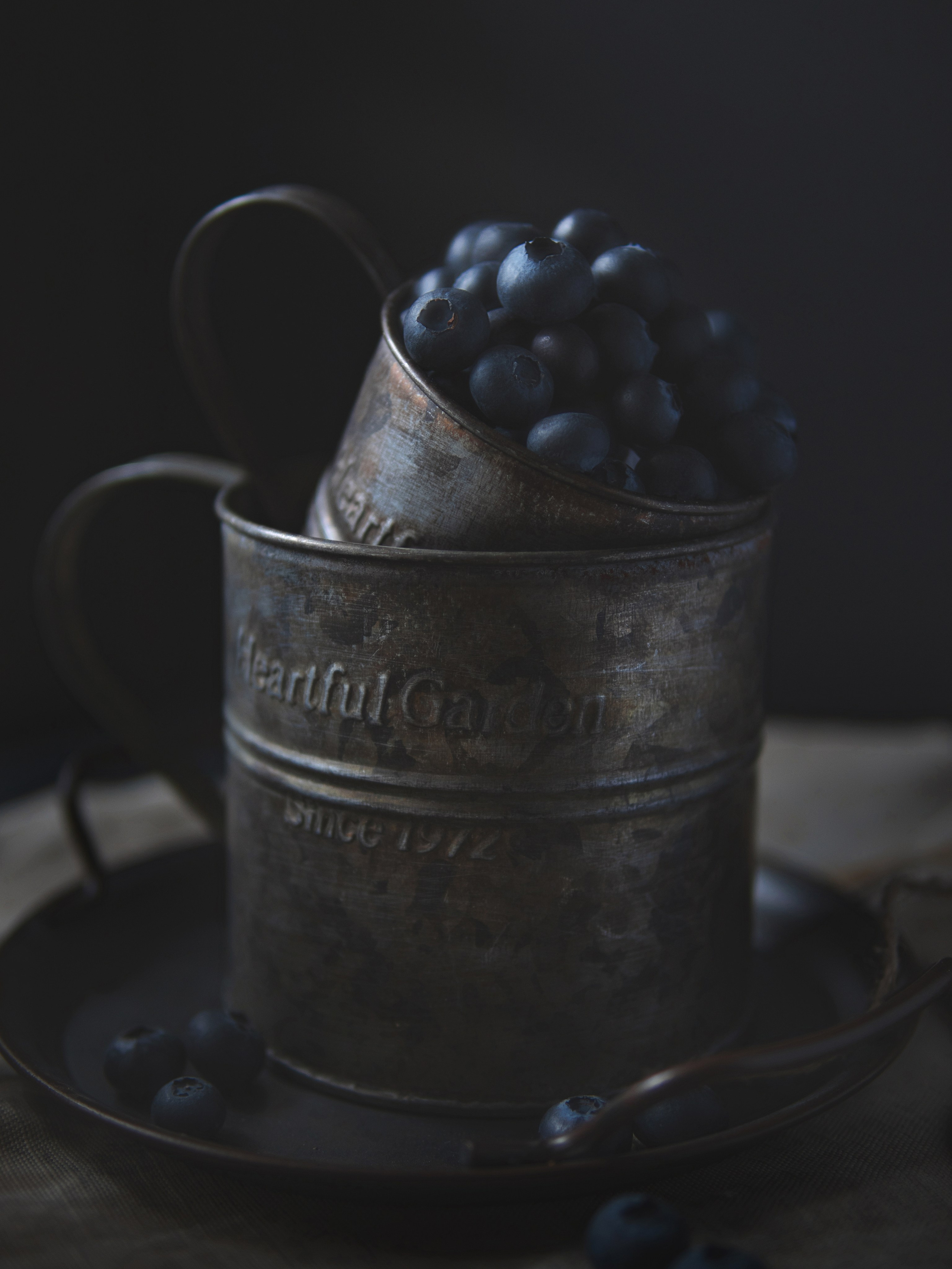 Голосование. Калужский городской фотоконкурс