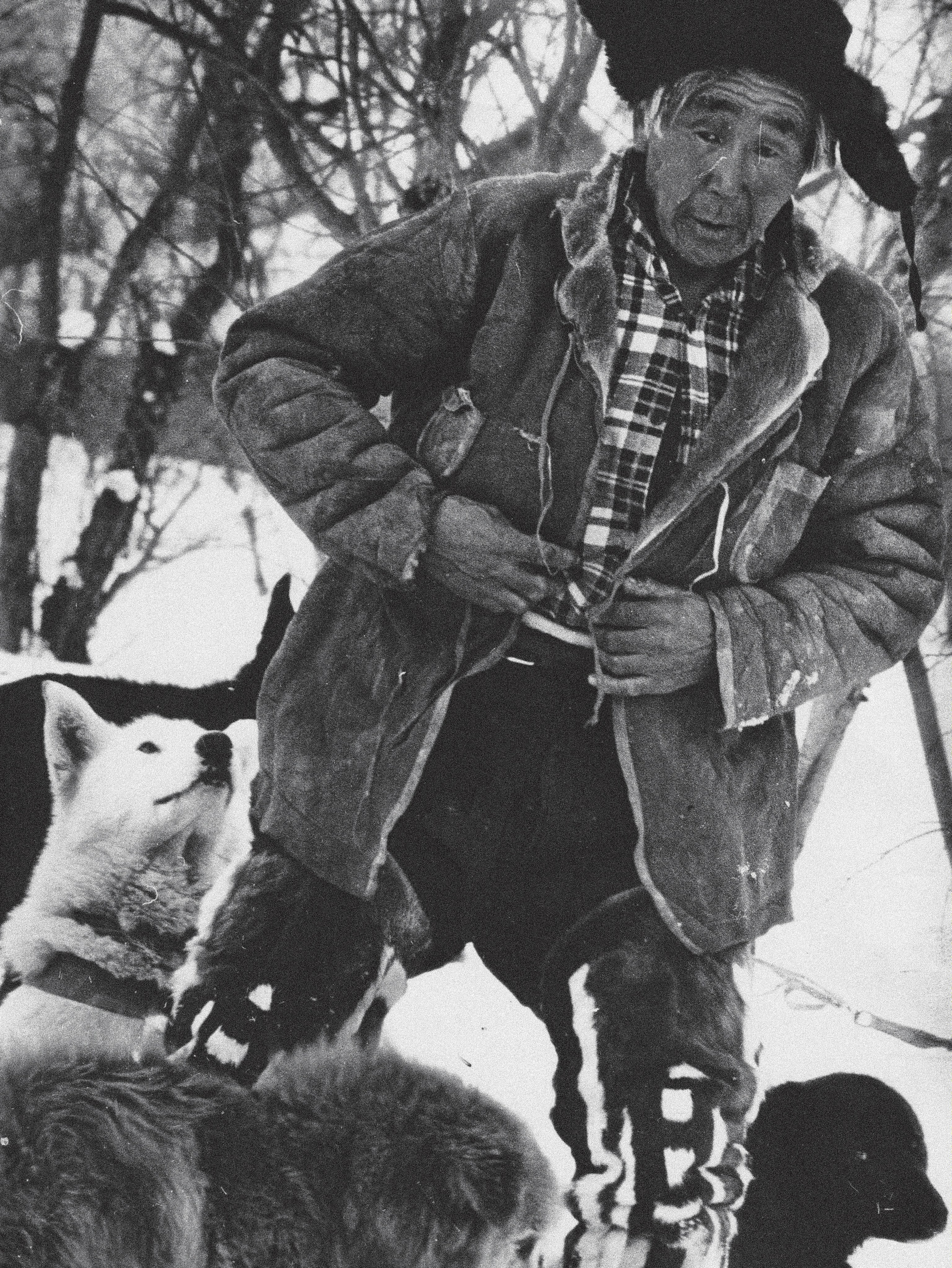 Участники из Быстринского района. История гонок на собачьих упряжках «Берингия»