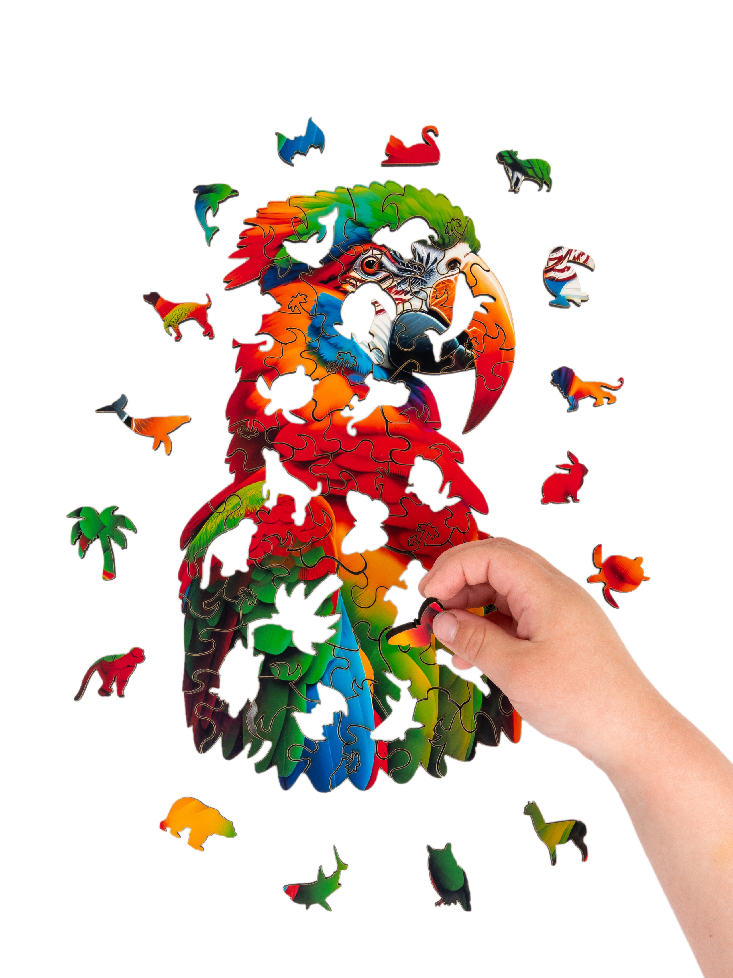 Главная. Предметный фотограф Анна Чепа