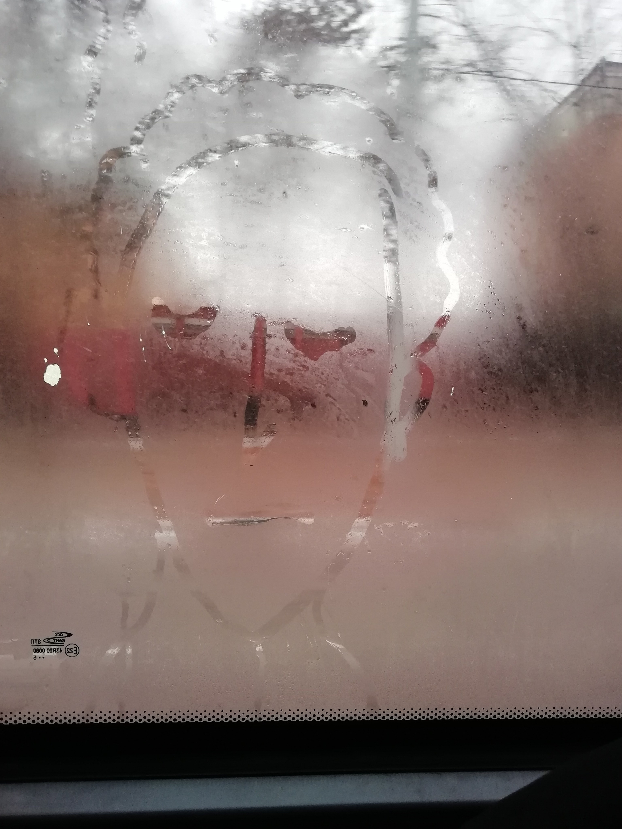 Рисункинаокнахавтобуса. Художник Рыбак Николай