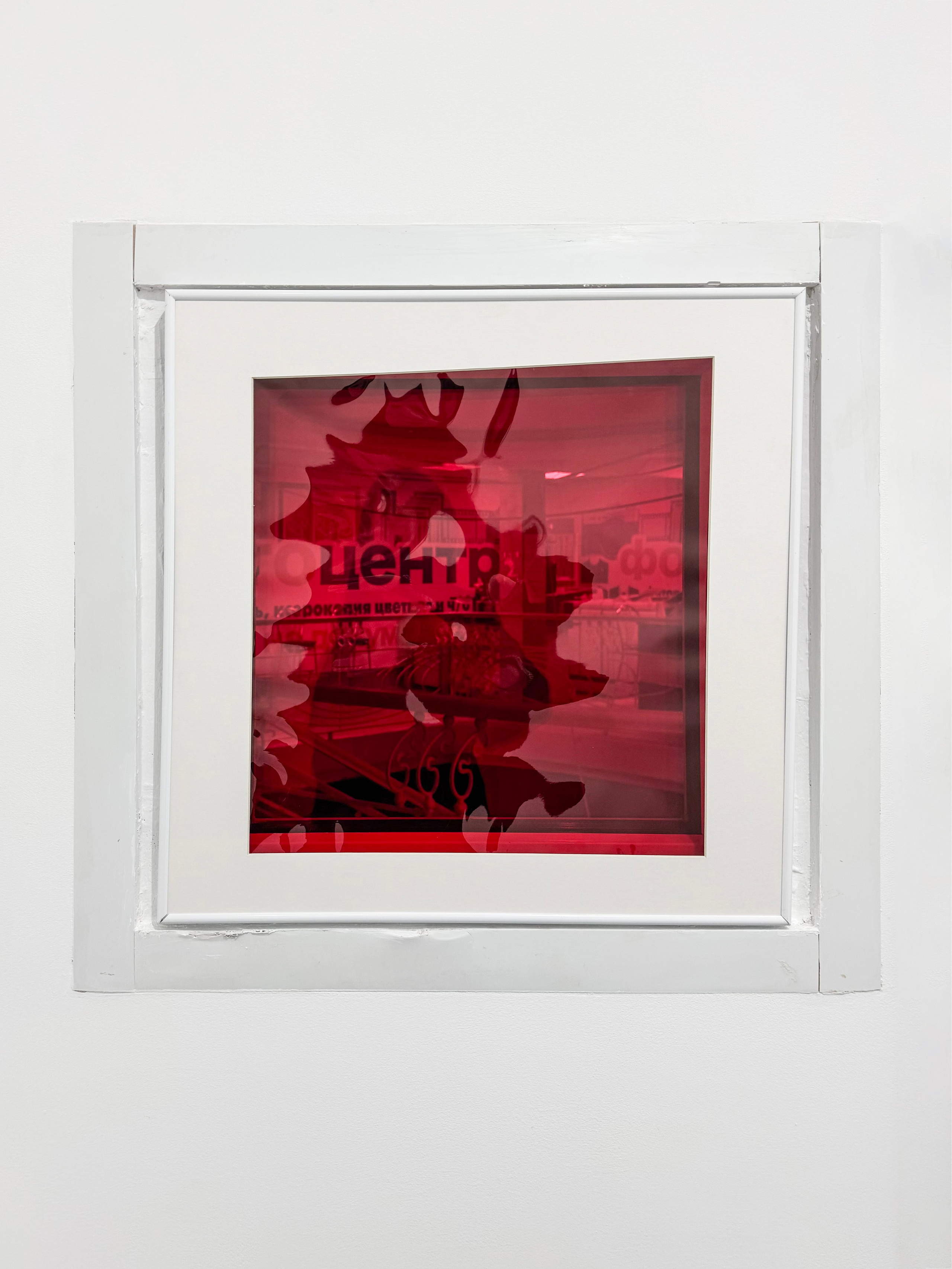 Зеленый остров. KRUS group