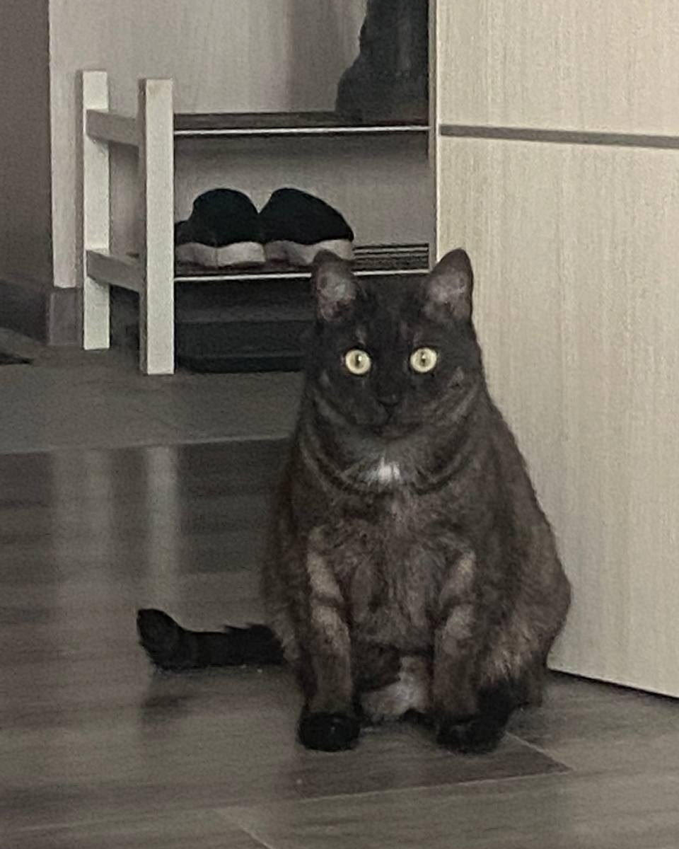 Фотограф Москва Дмитрий Курасов