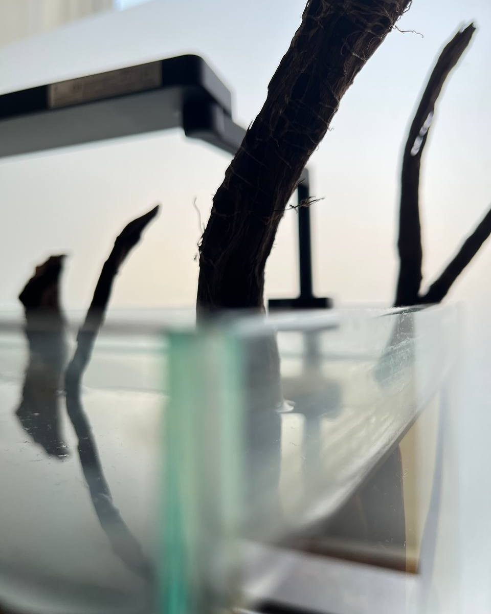 Аквариумное чутье: между химией и интуицией. Home