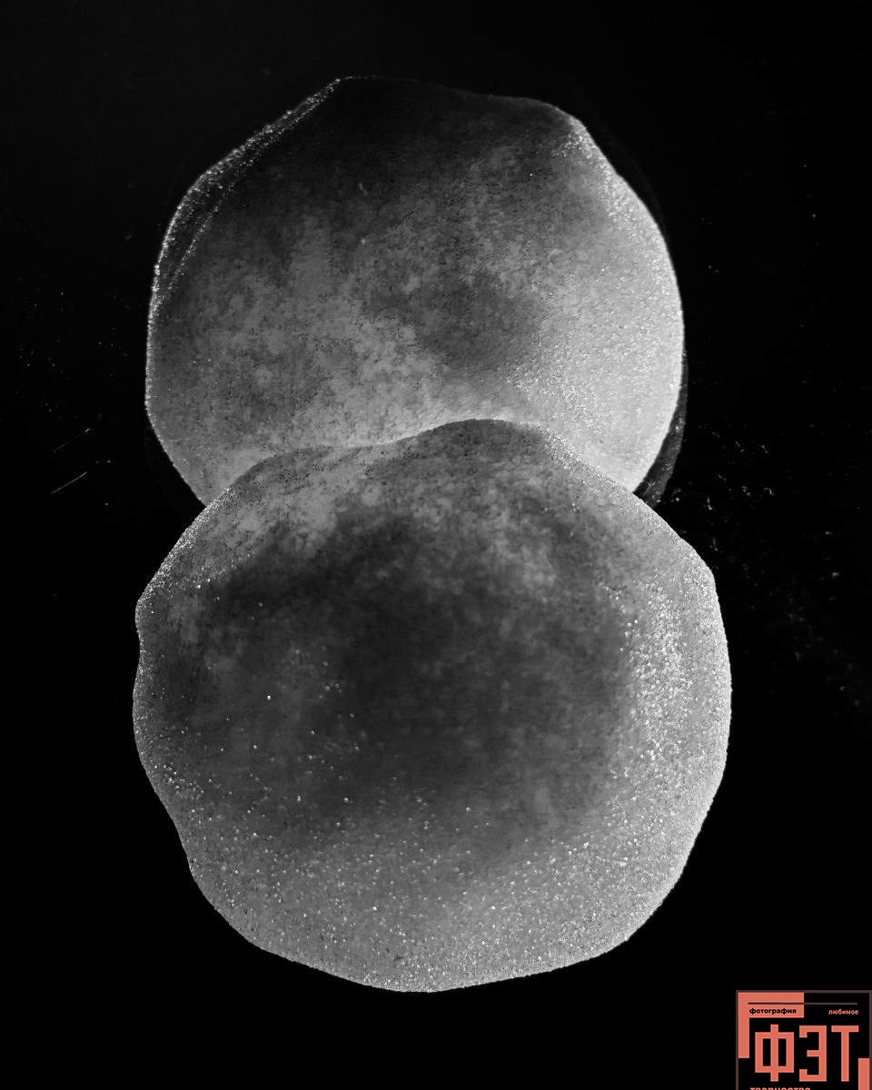 Фотопроект «ФЭТ: Фотография, Эстетика, Творчество»