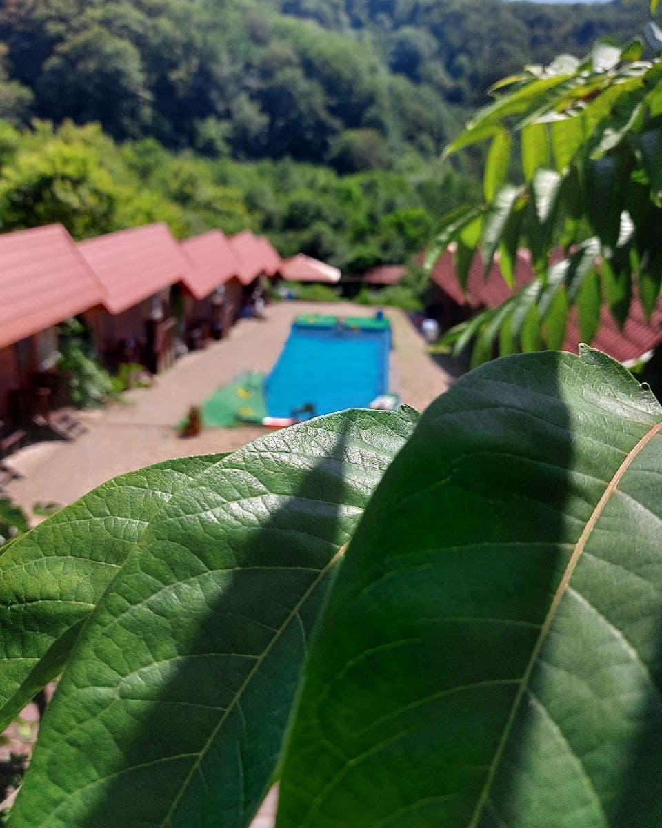 Йога-тур в Сочи из Нижнего Новгорода. Фотограф и видеограф Елена Лисина