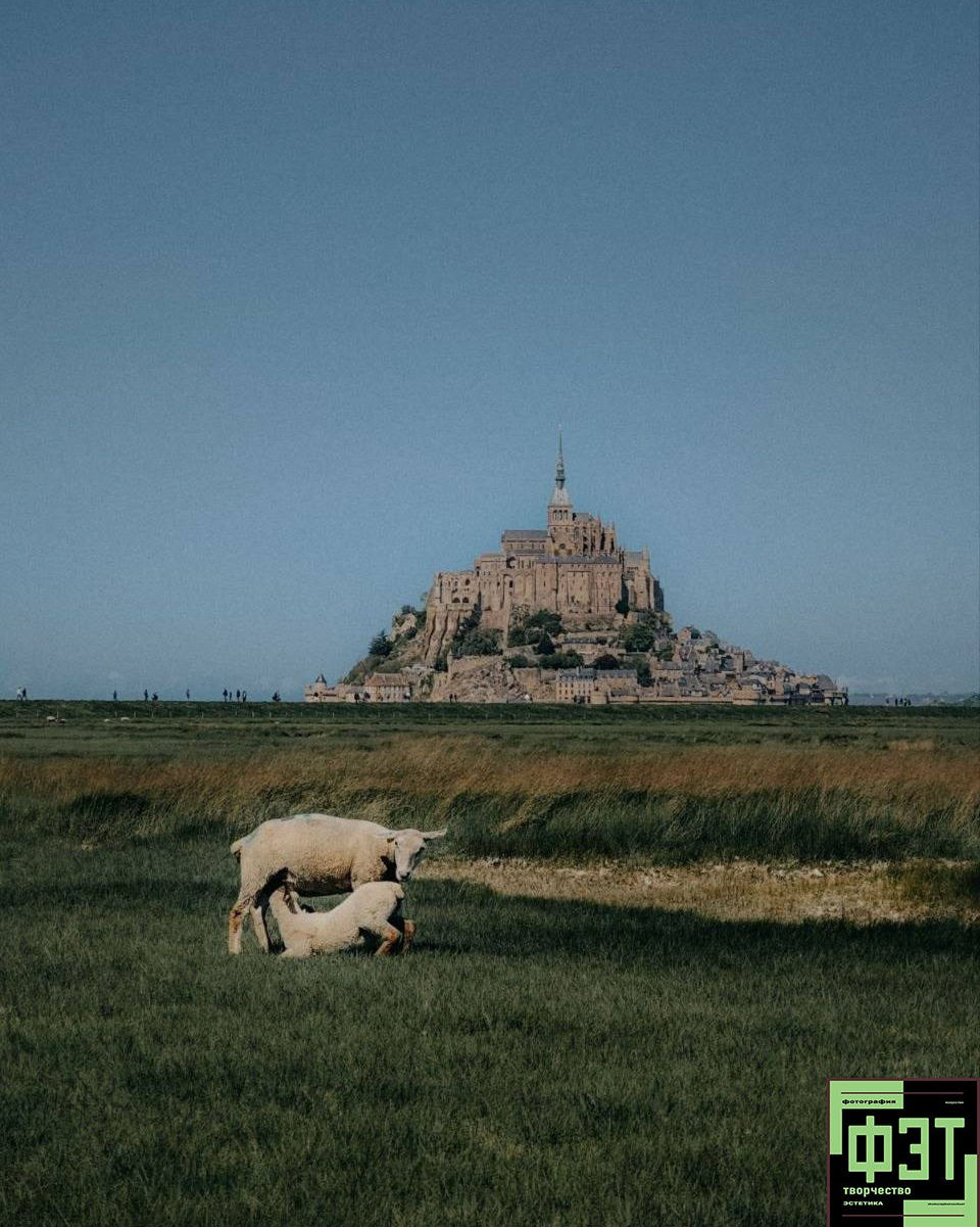 Альбом 19.04.26 в рамках проекта ФЭТ