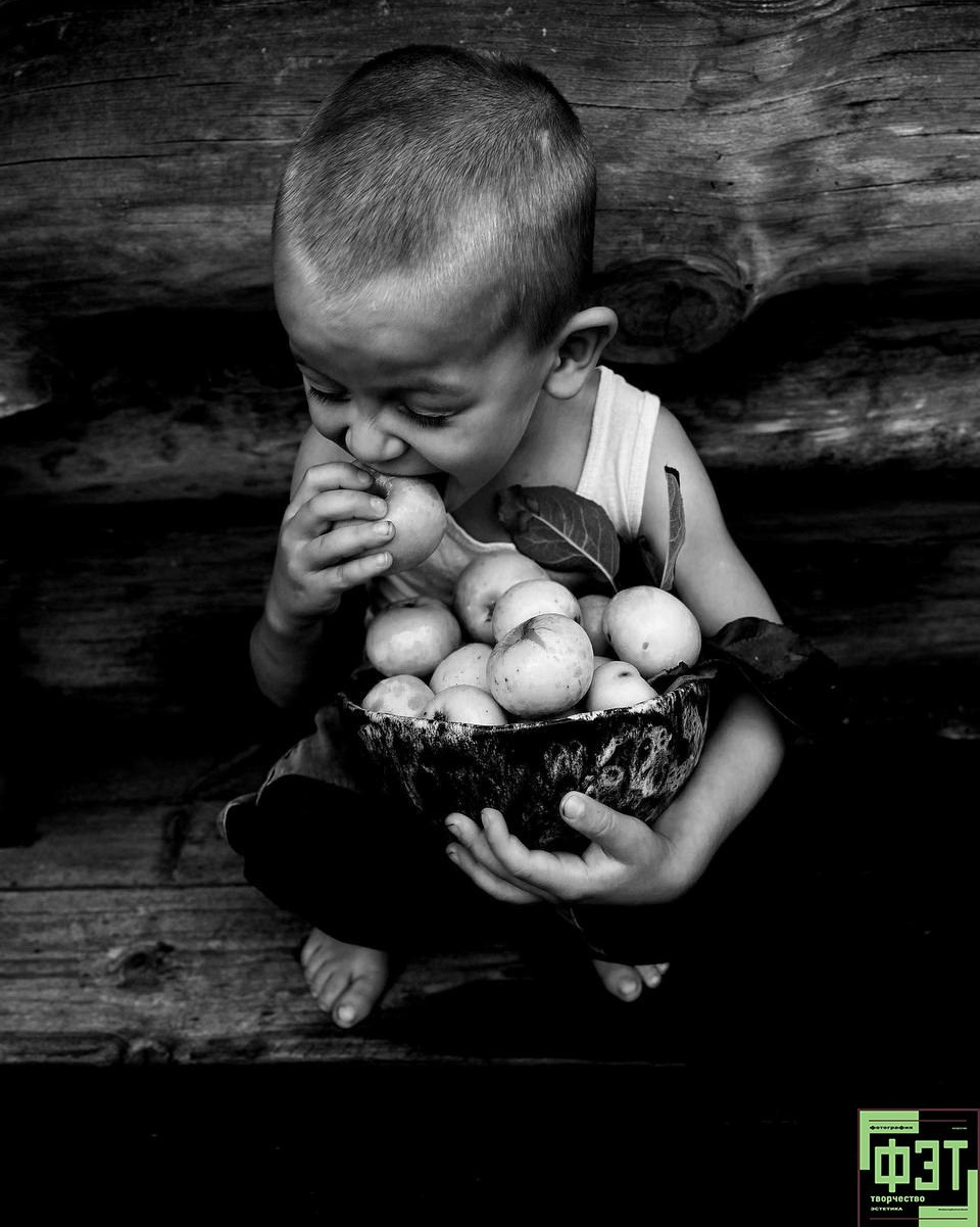 Альбом 15.02.26 в рамках ФЭТ