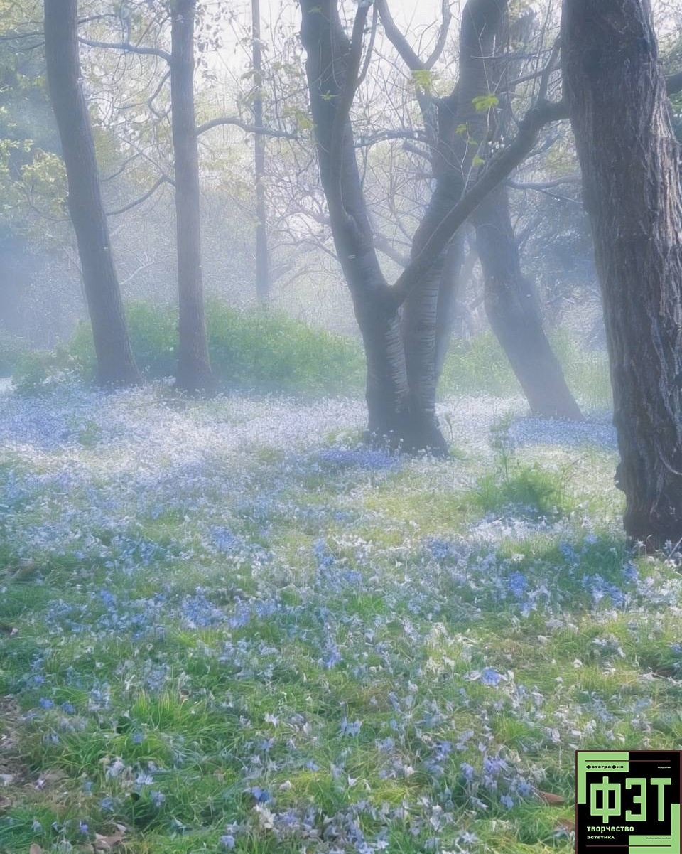 Альбом 12.04.26 в рамках ФЭТ