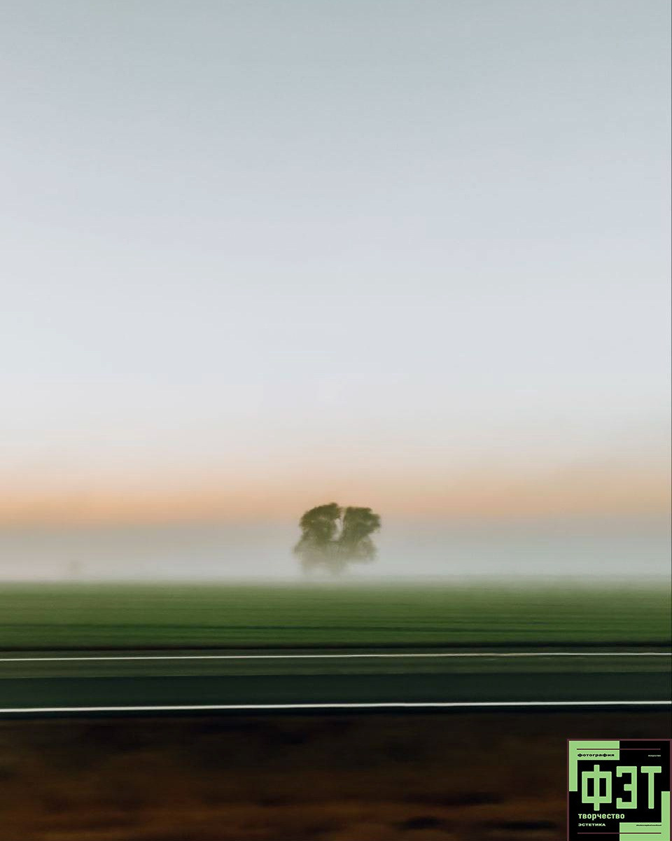 Альбом 05.04.26 в рамках проекта для фотографов ФЭТ