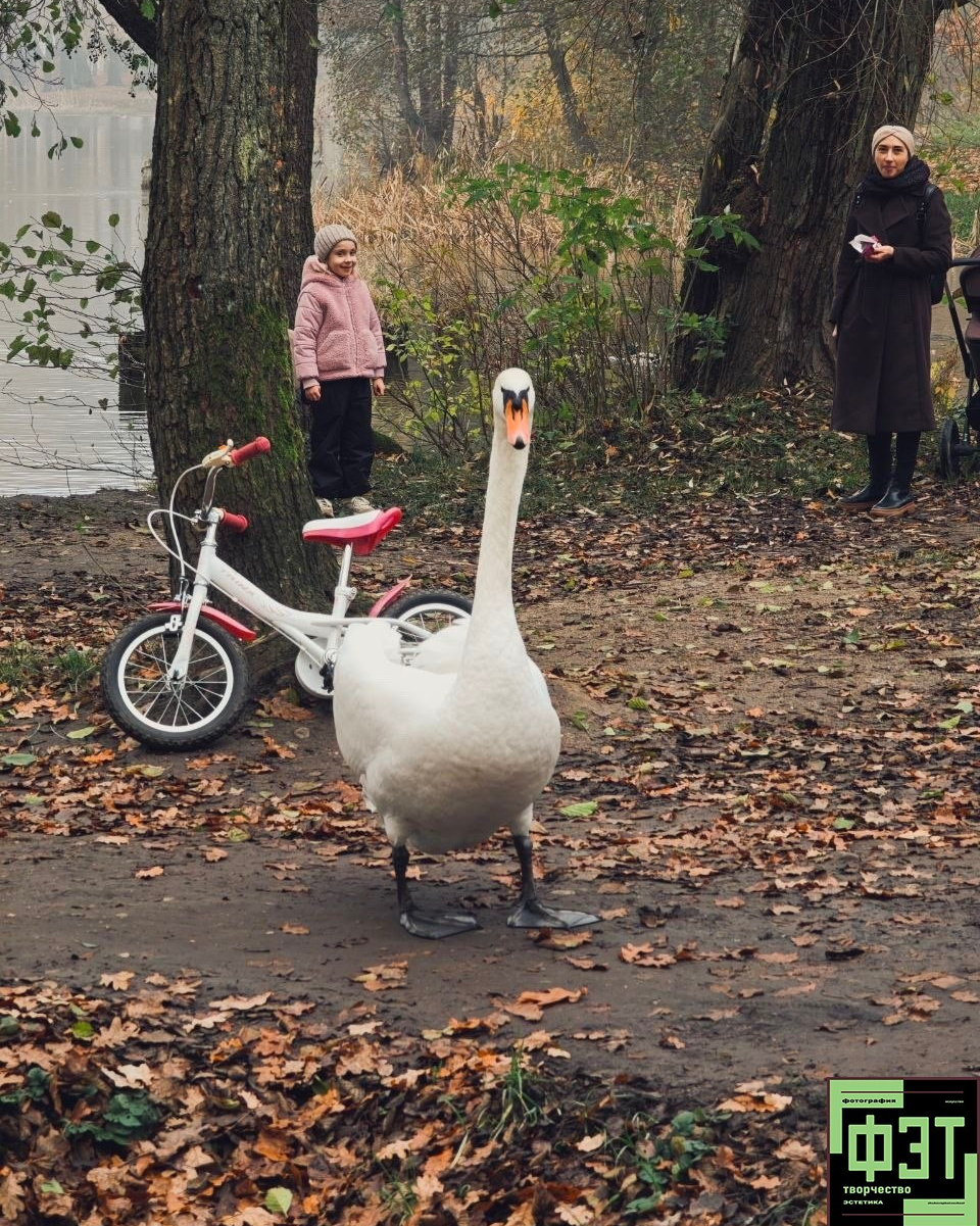 Альбом 29.03.26 в рамках ФЭТ