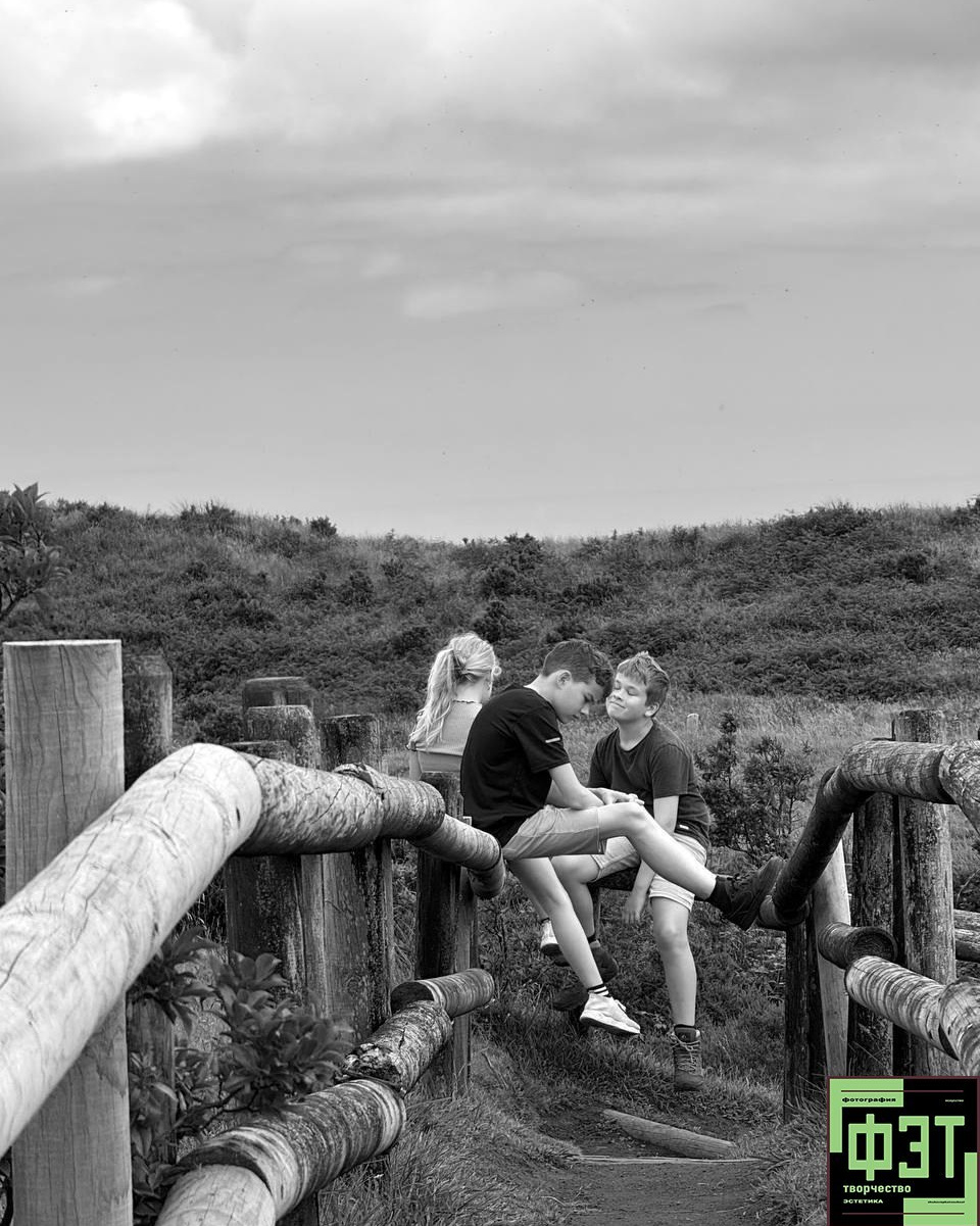 Альбом 18.01.26 проект ФЭТ