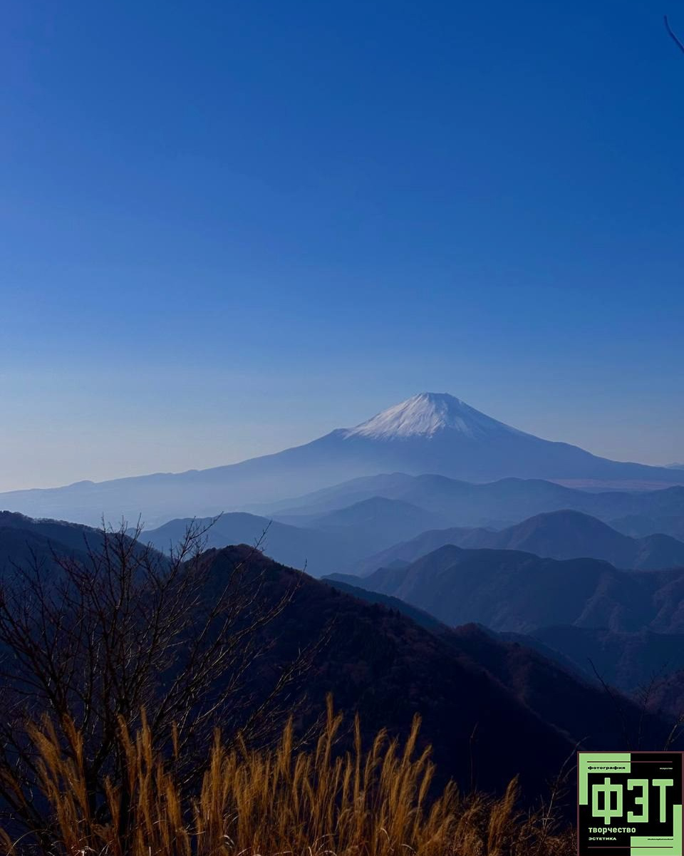 Альбом 18.01.26 проект ФЭТ