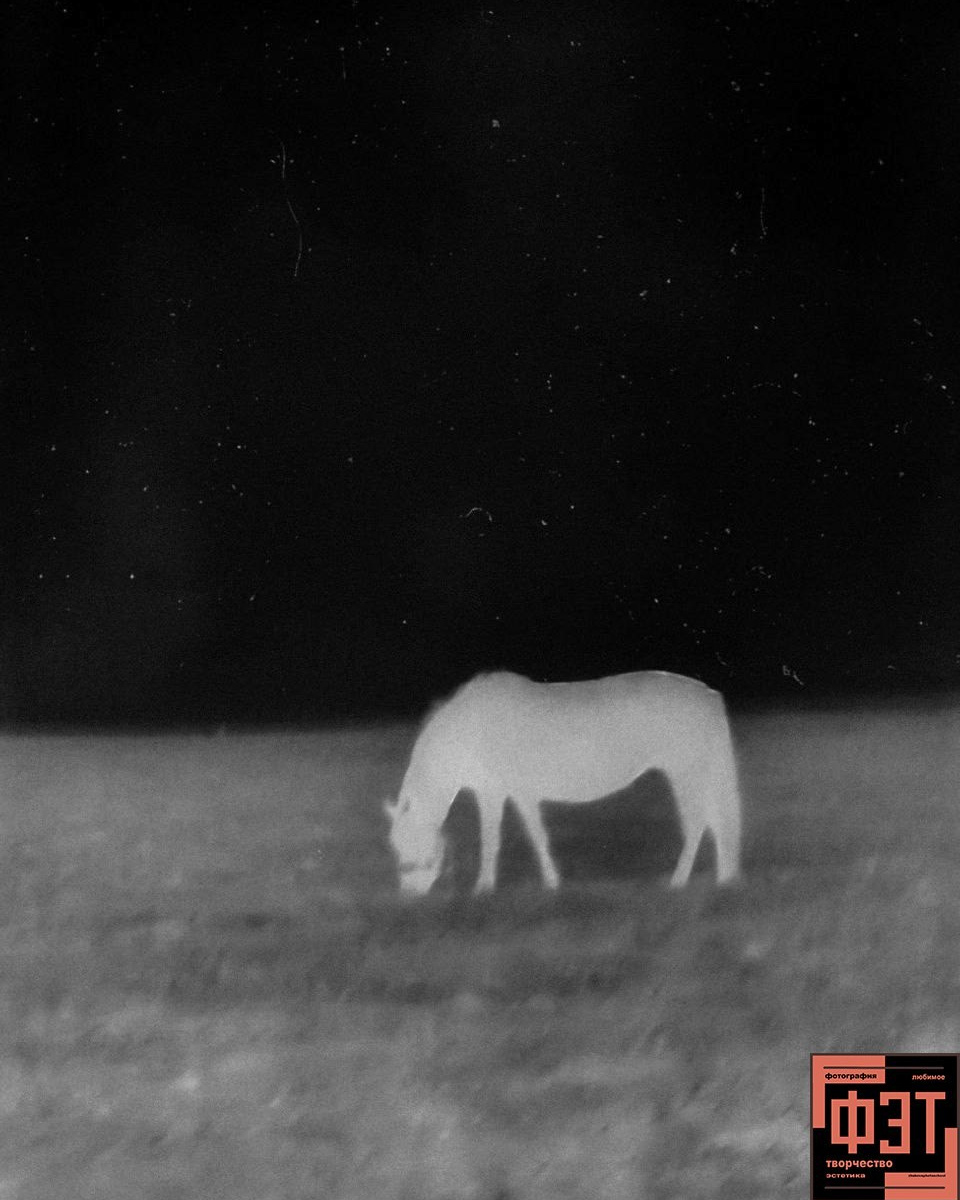 Альбом 25.01.26 в рамках ФЭТ