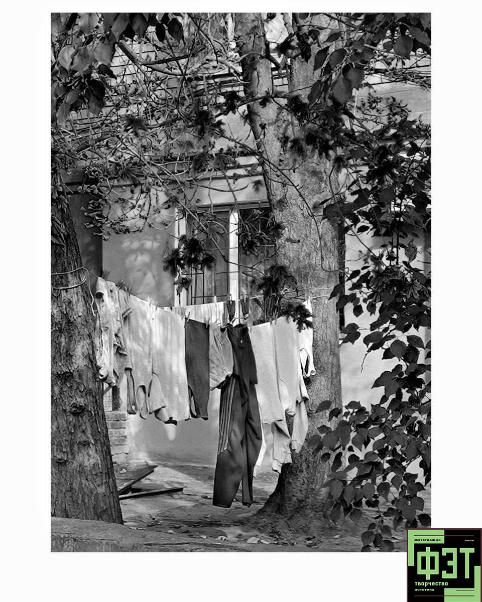 Наталья Переверзева