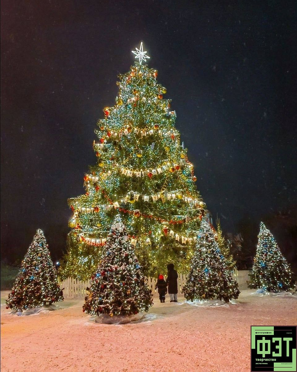 Альбом 18.01.26 проект ФЭТ