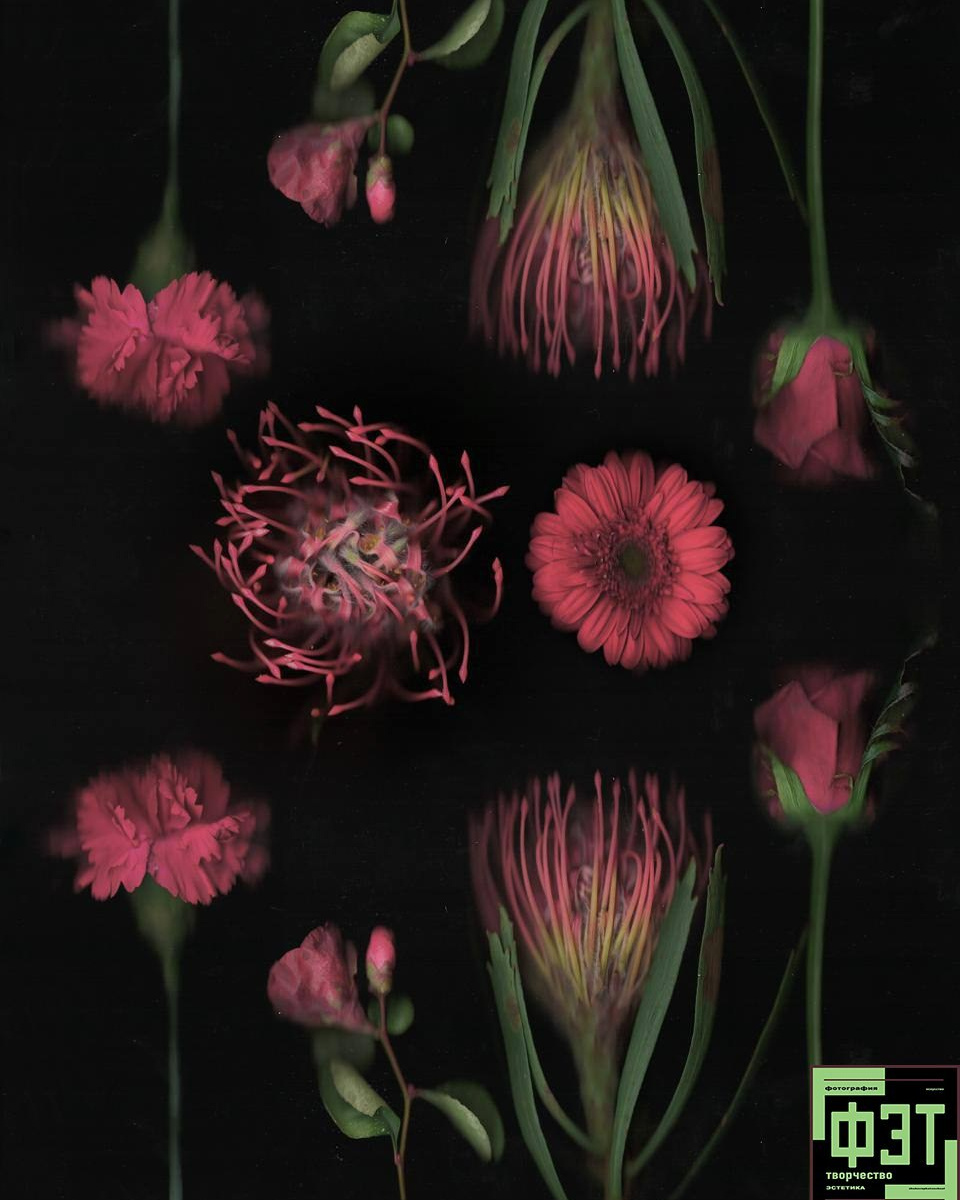 Альбом от 30.11.25 в рамках фотоконкурса ФЭТ: Фотография Эстетика Творчество