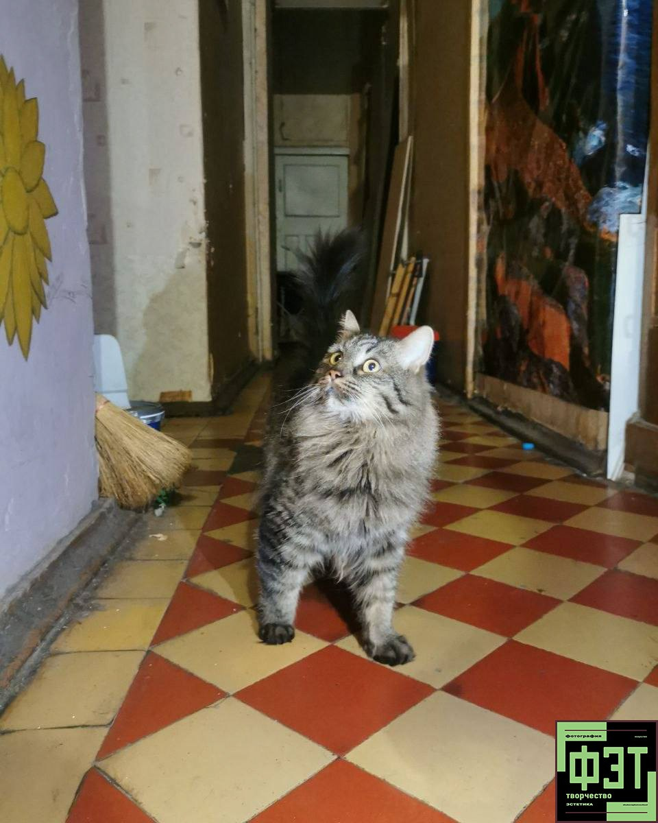 Наталья Переверзева