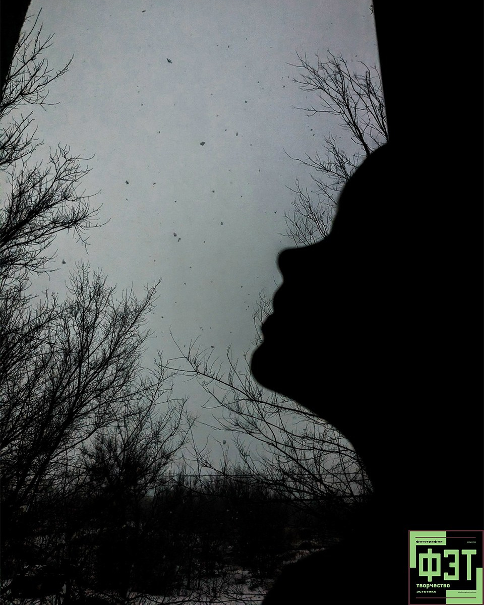 Наталья Переверзева