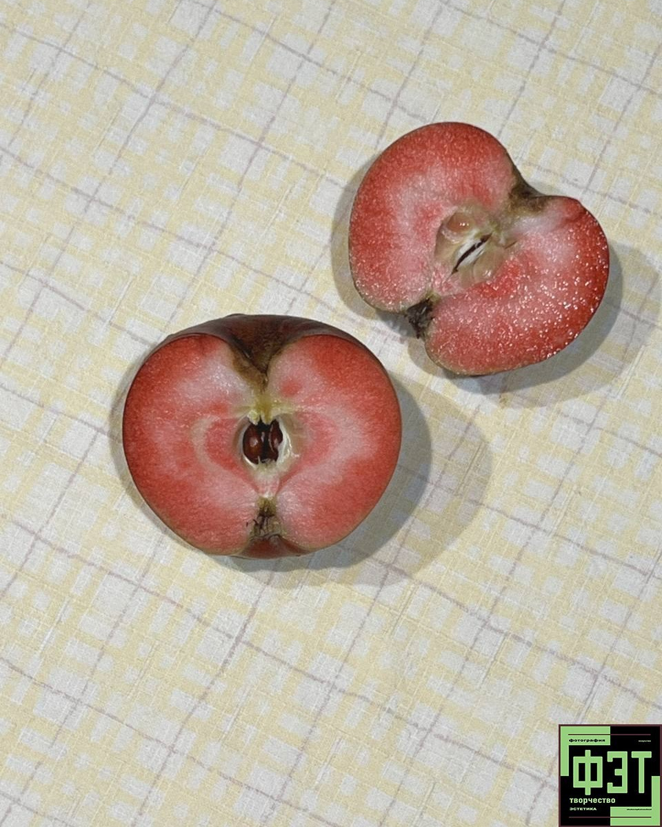 Фотопроект «ФЭТ: Фотография, Эстетика, Творчество»