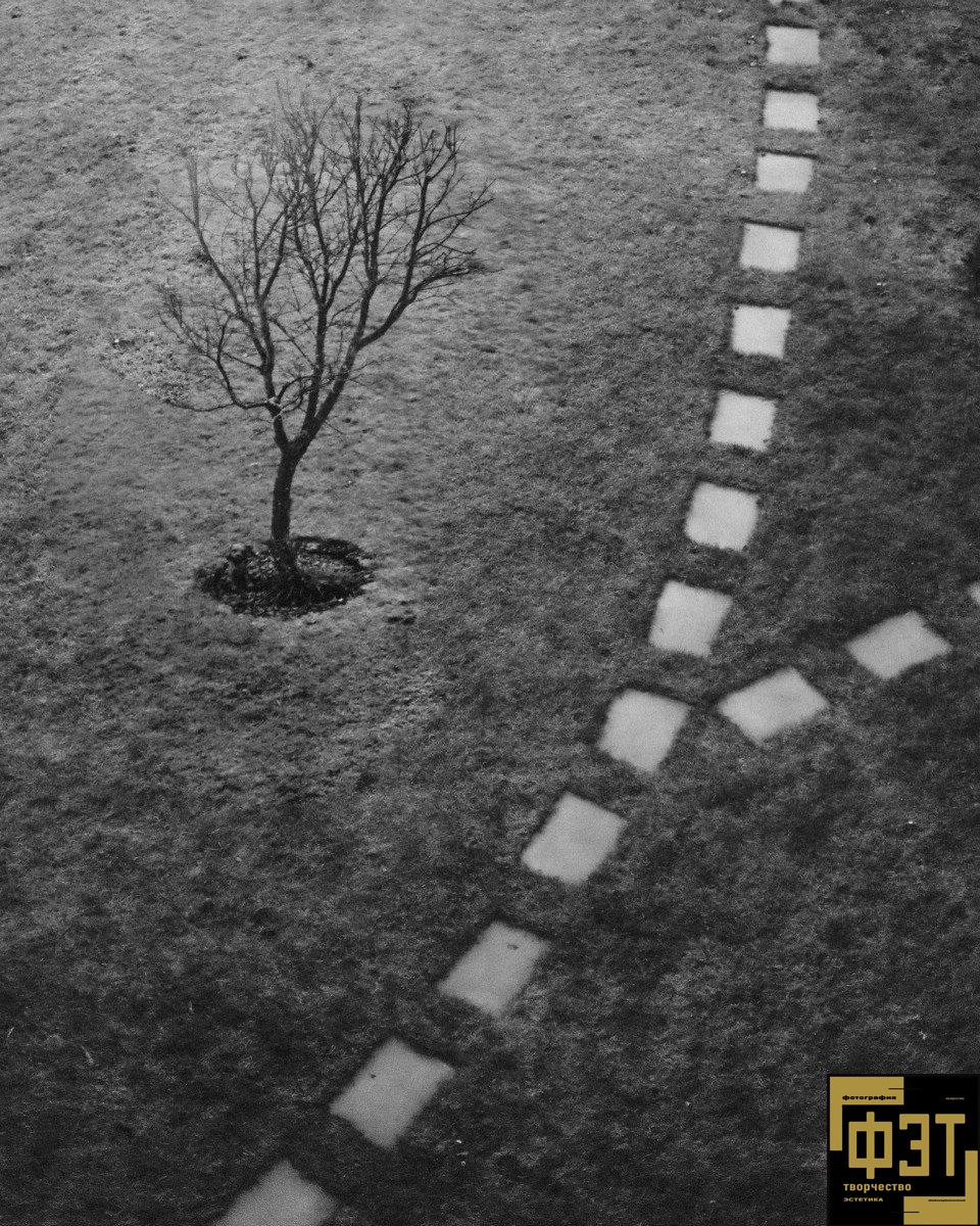 Выбор зрителей. Альбом 11.01.26