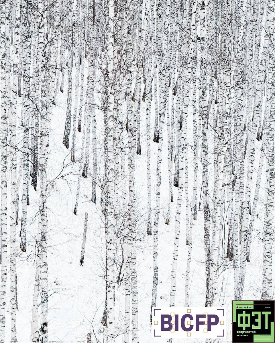 Альбом 28.12.25 ФЭТ