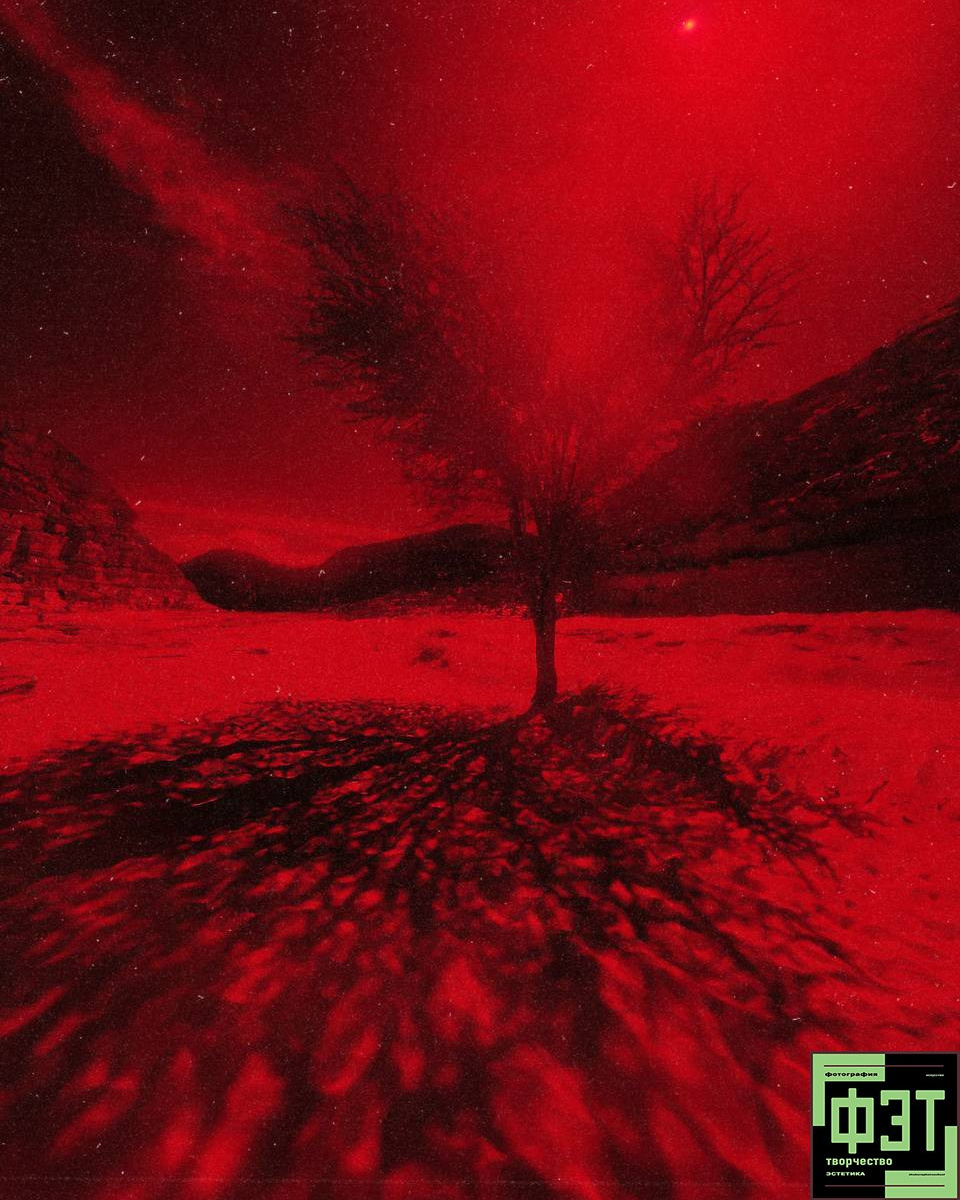 Наталья Переверзева