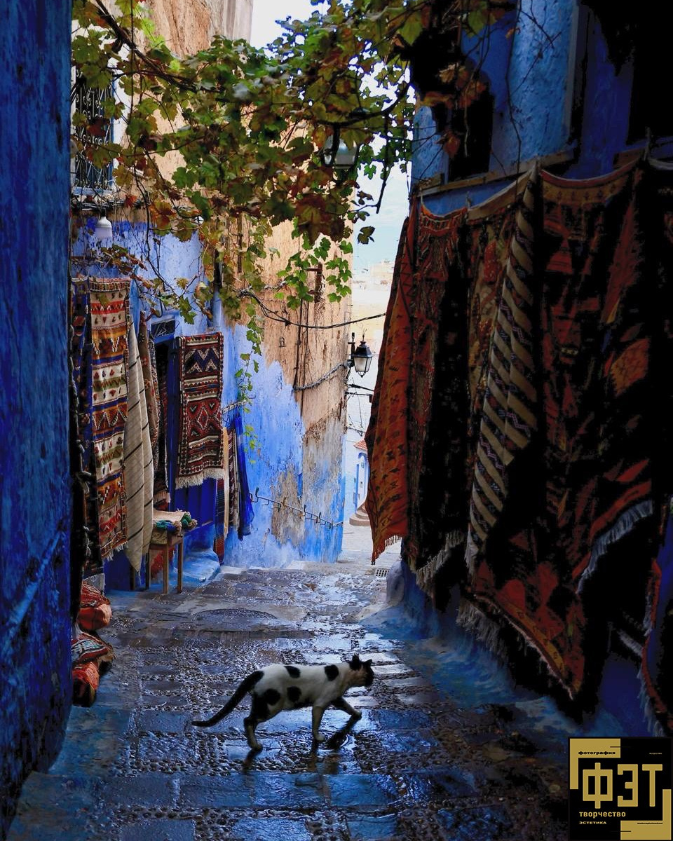 Выбор зрителей 01.03.26