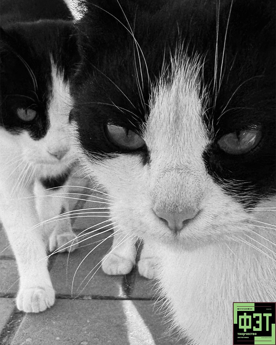 Наталья Переверзева