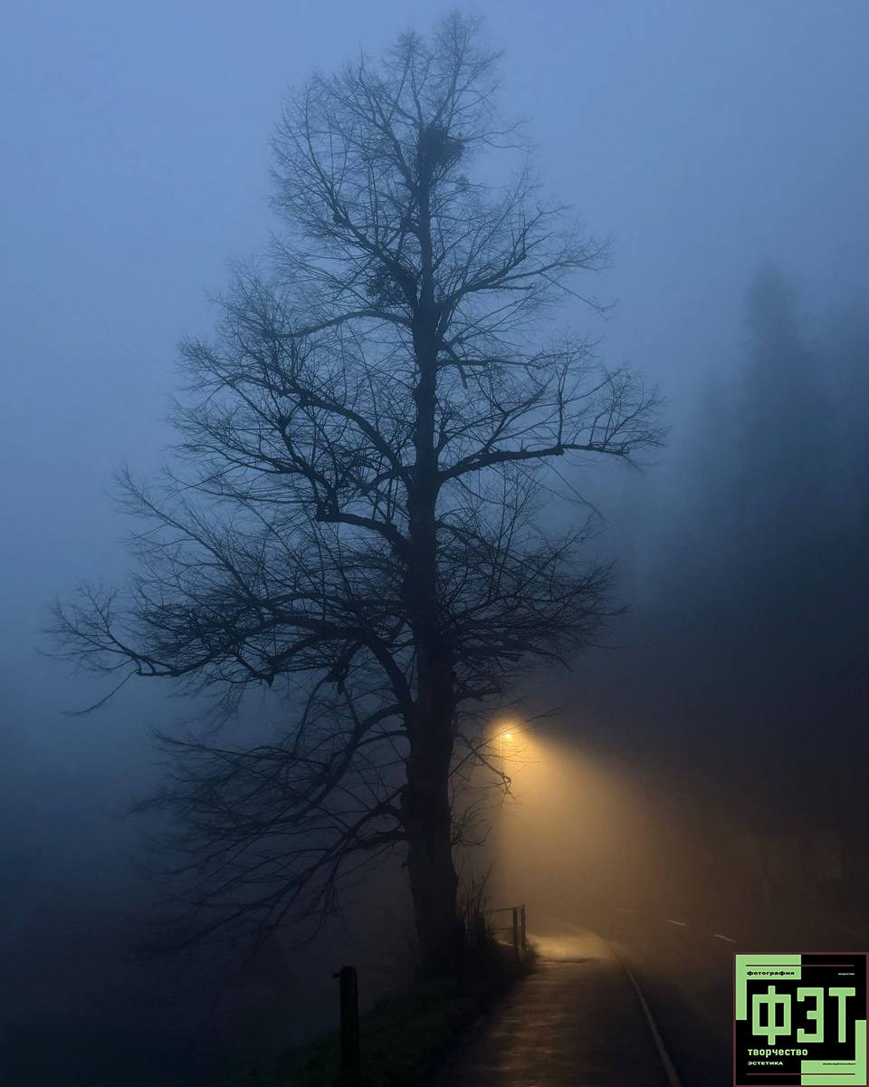 Альбом 19.04.26 в рамках проекта ФЭТ