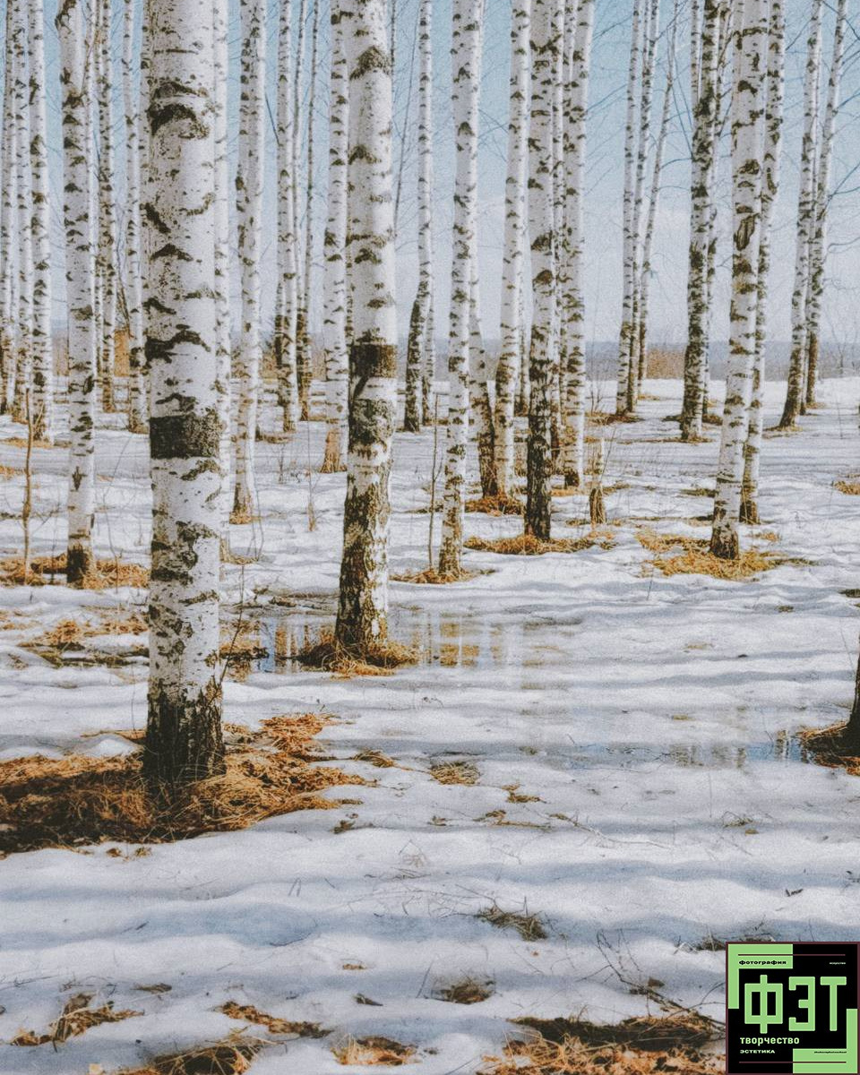 Альбом 08.03.26 в рамках ФЭТ