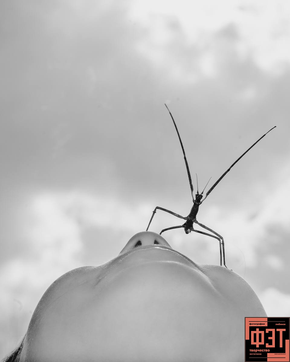 Фотопроект «ФЭТ: Фотография, Эстетика, Творчество»