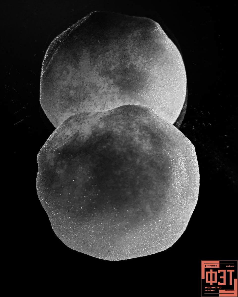 Альбом 19.04.26 в рамках проекта ФЭТ