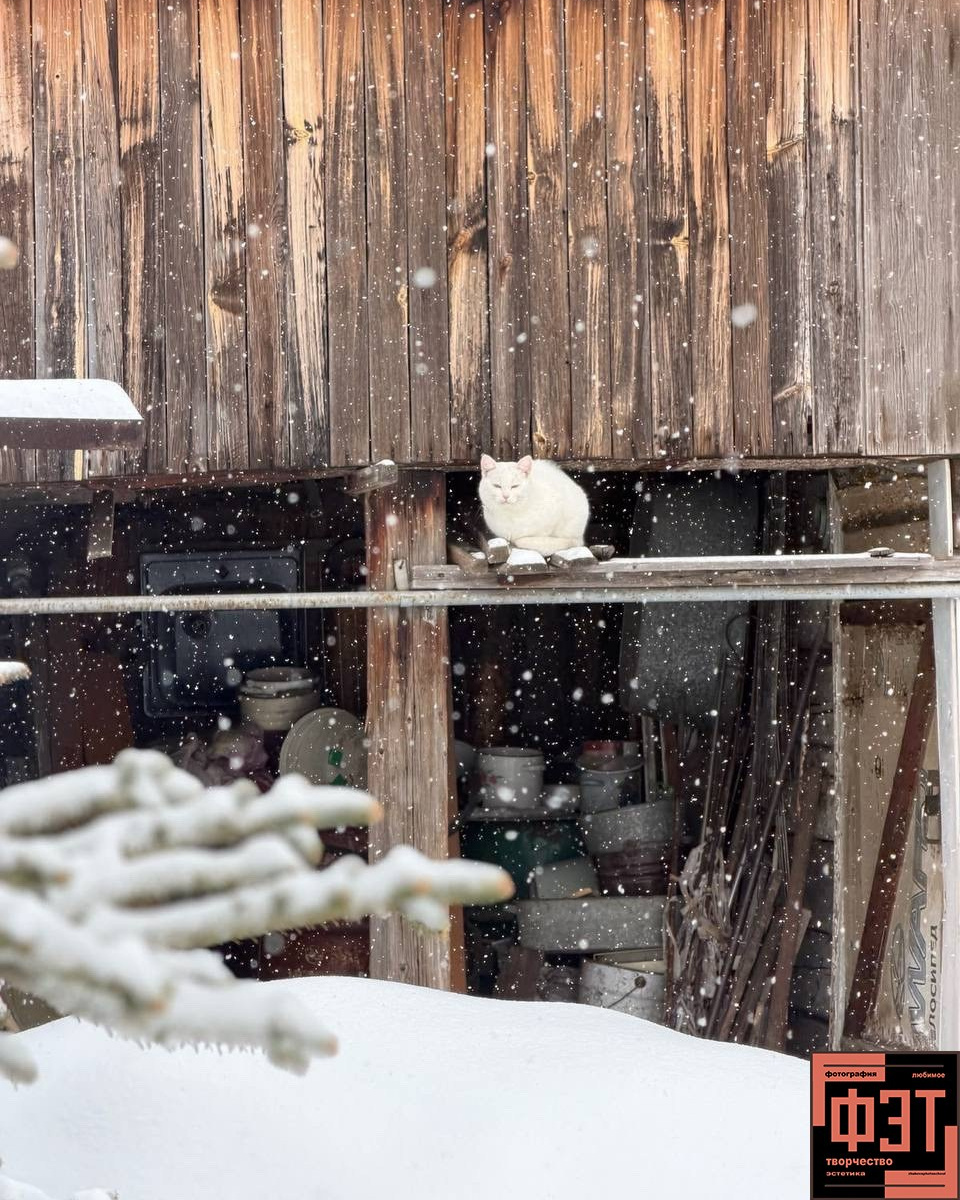 Альбом 12.04.26 в рамках ФЭТ