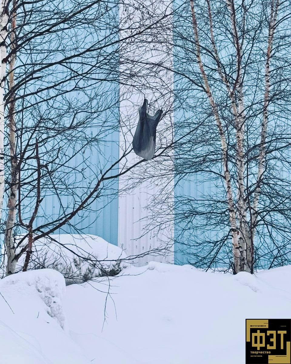 Выбор зрителей 14.12.25