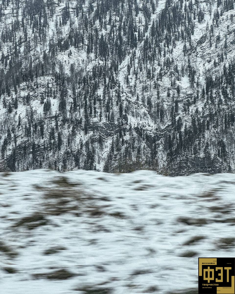 Выбор зрителей. Альбом 11.01.26