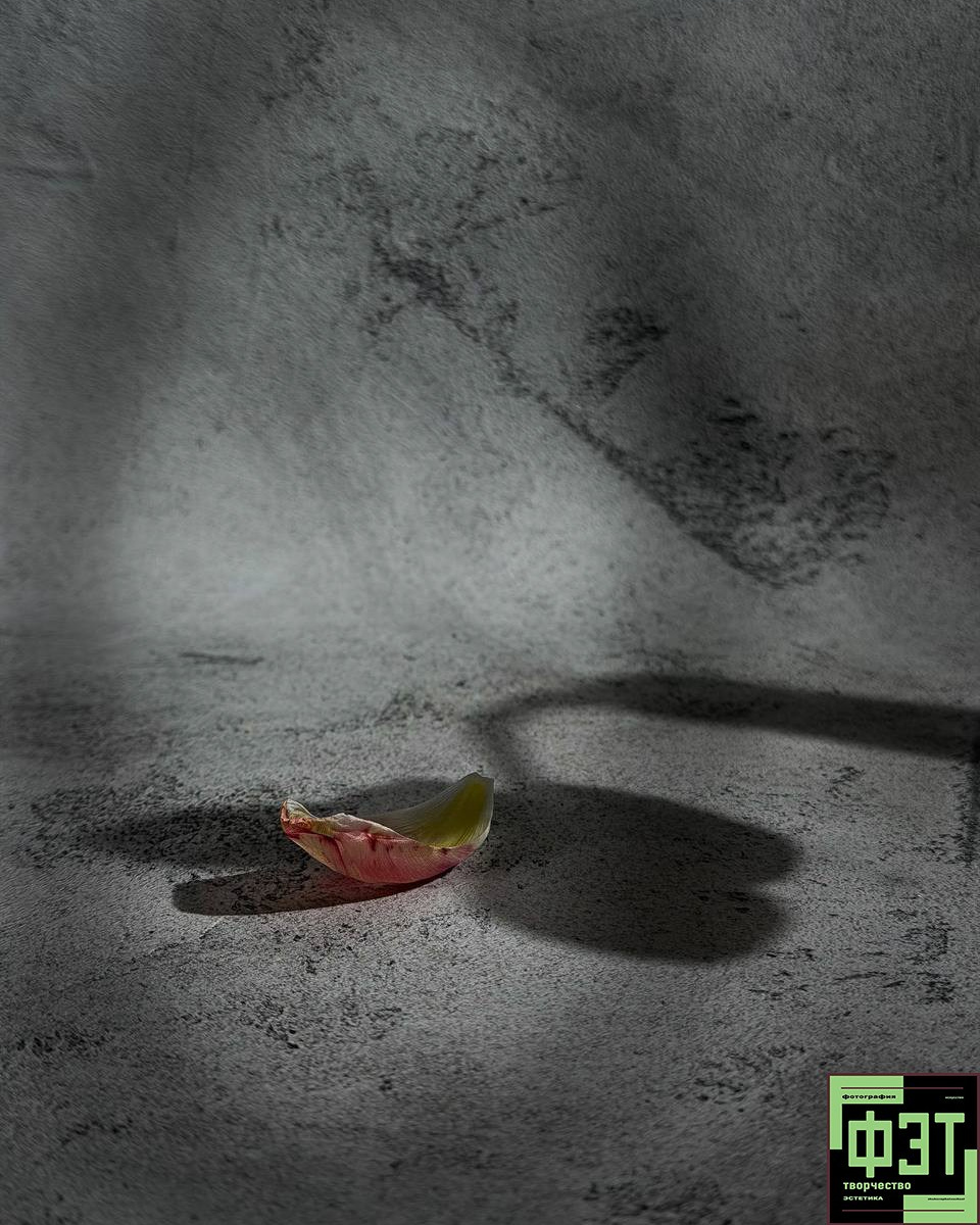 Наталья Переверзева