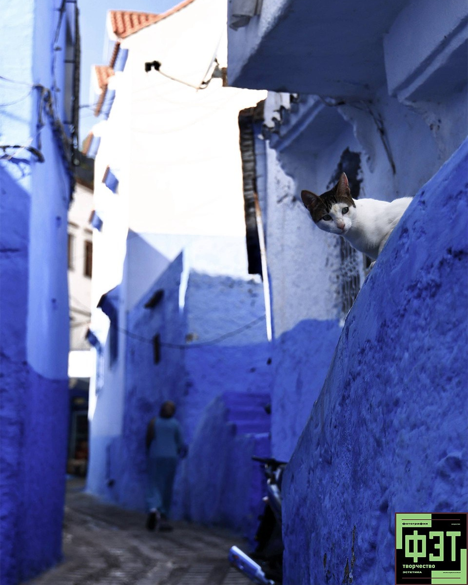 Альбом 12.04.26 в рамках ФЭТ