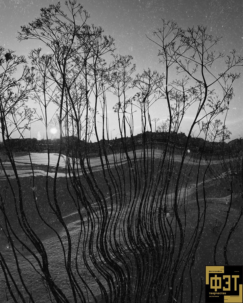 Выбор зрителей 01.03.26