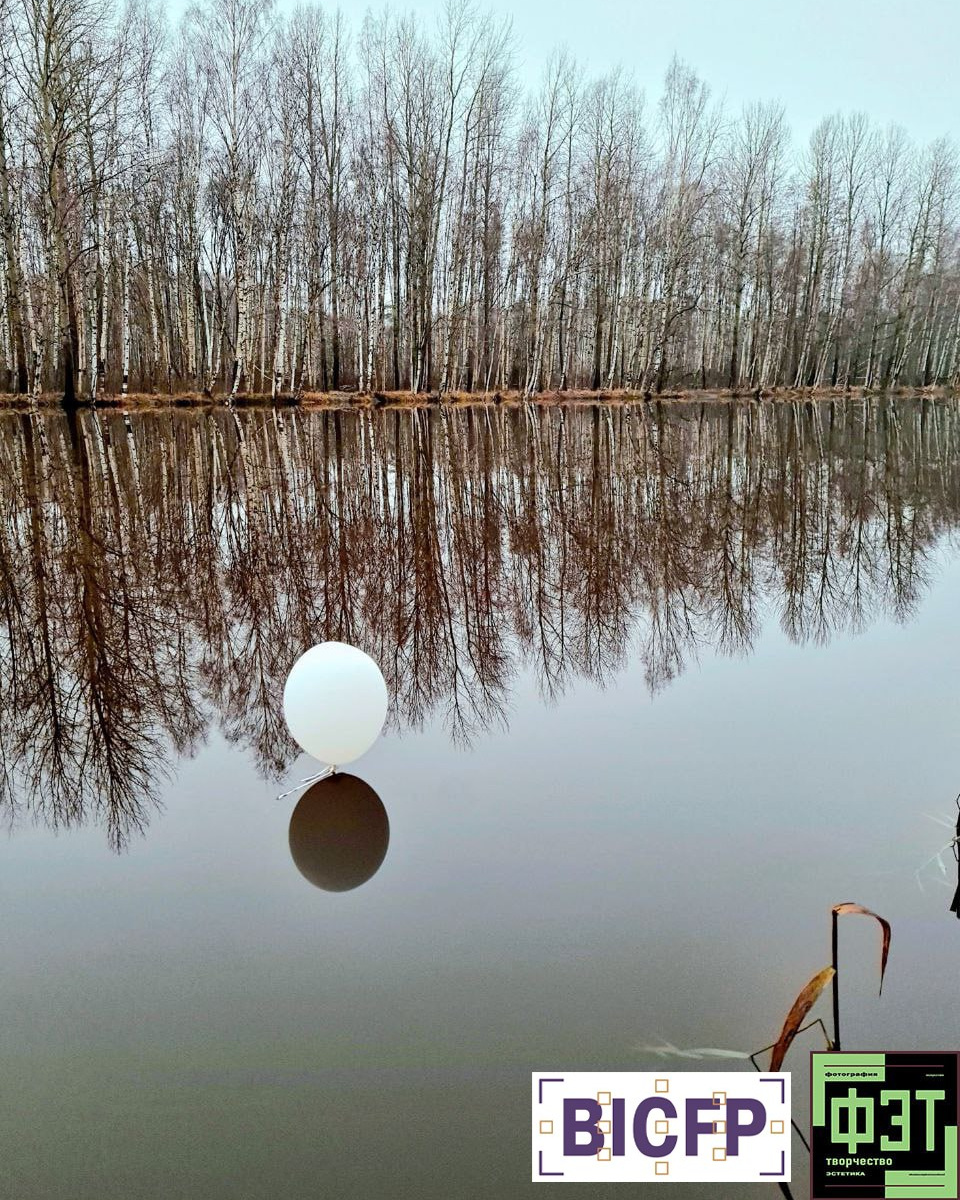 Альбом 28.12.25 ФЭТ