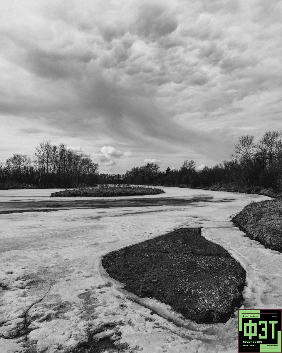 Наталья Переверзева