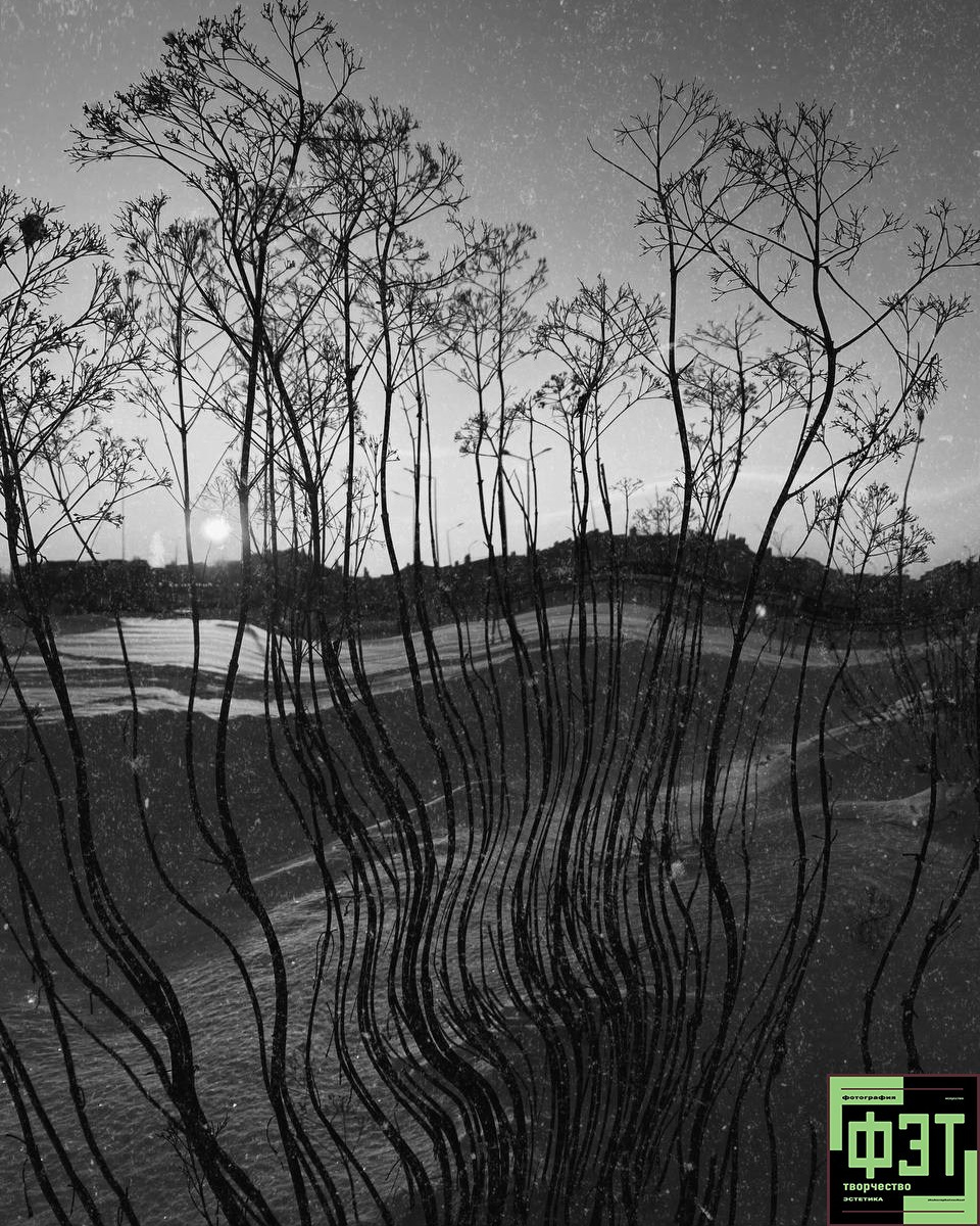 Альбом 01.03.26 в рамках проекта ФЭТ