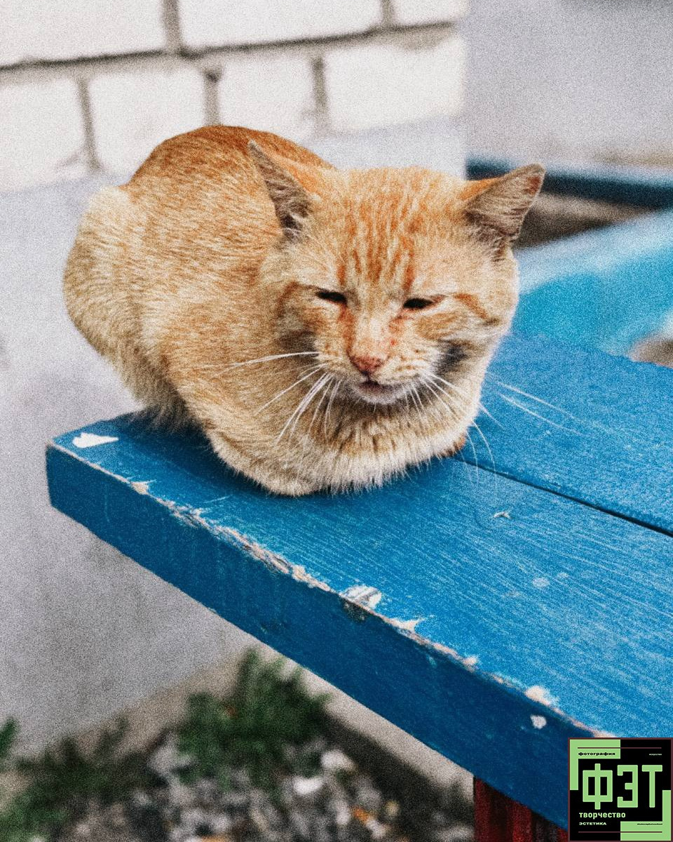 Альбом 19.04.26 в рамках проекта ФЭТ