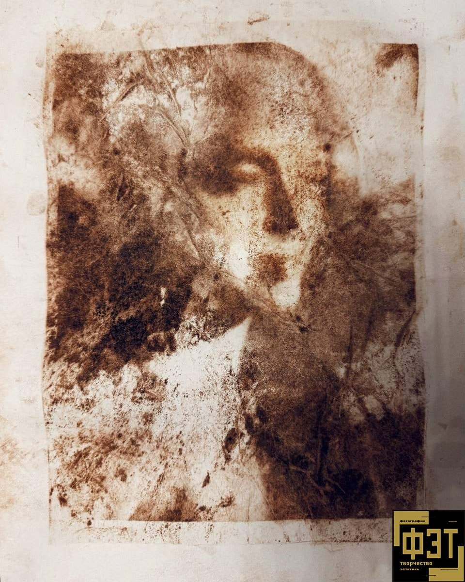 ФЭТ: Фотография Творчество Эстетика