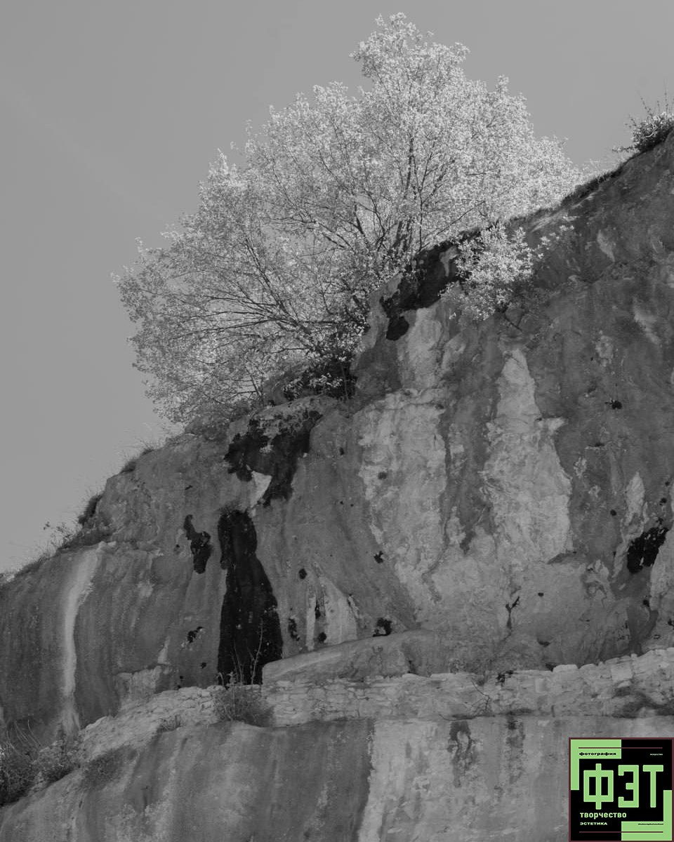 Альбом 19.04.26 в рамках проекта ФЭТ