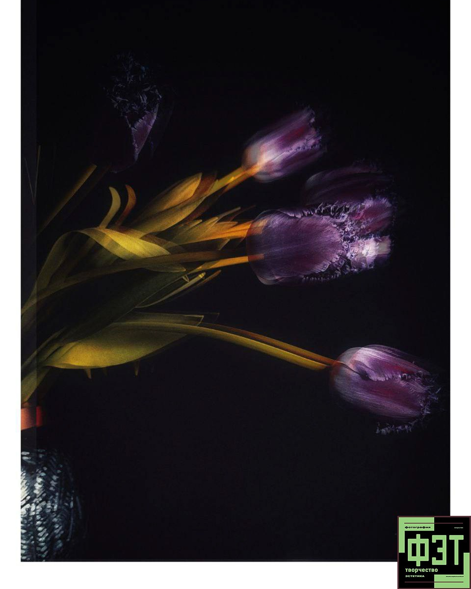 Альбом 08.03.26 в рамках ФЭТ