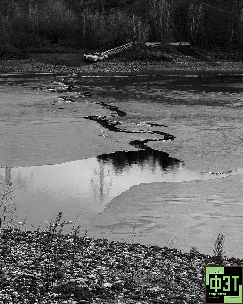 Альбом 08.03.26 в рамках ФЭТ