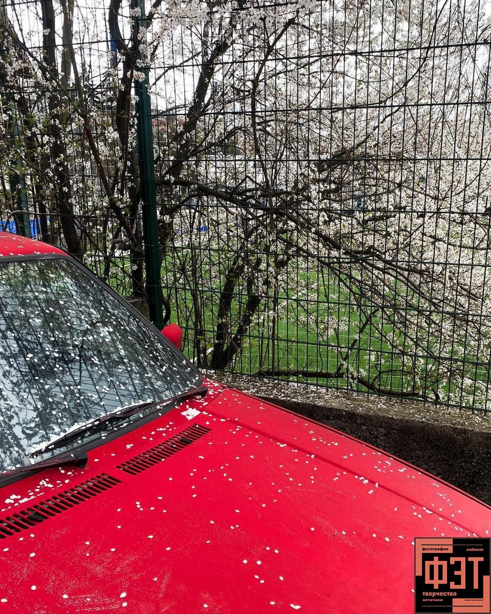 Альбом 08.03.26 в рамках ФЭТ