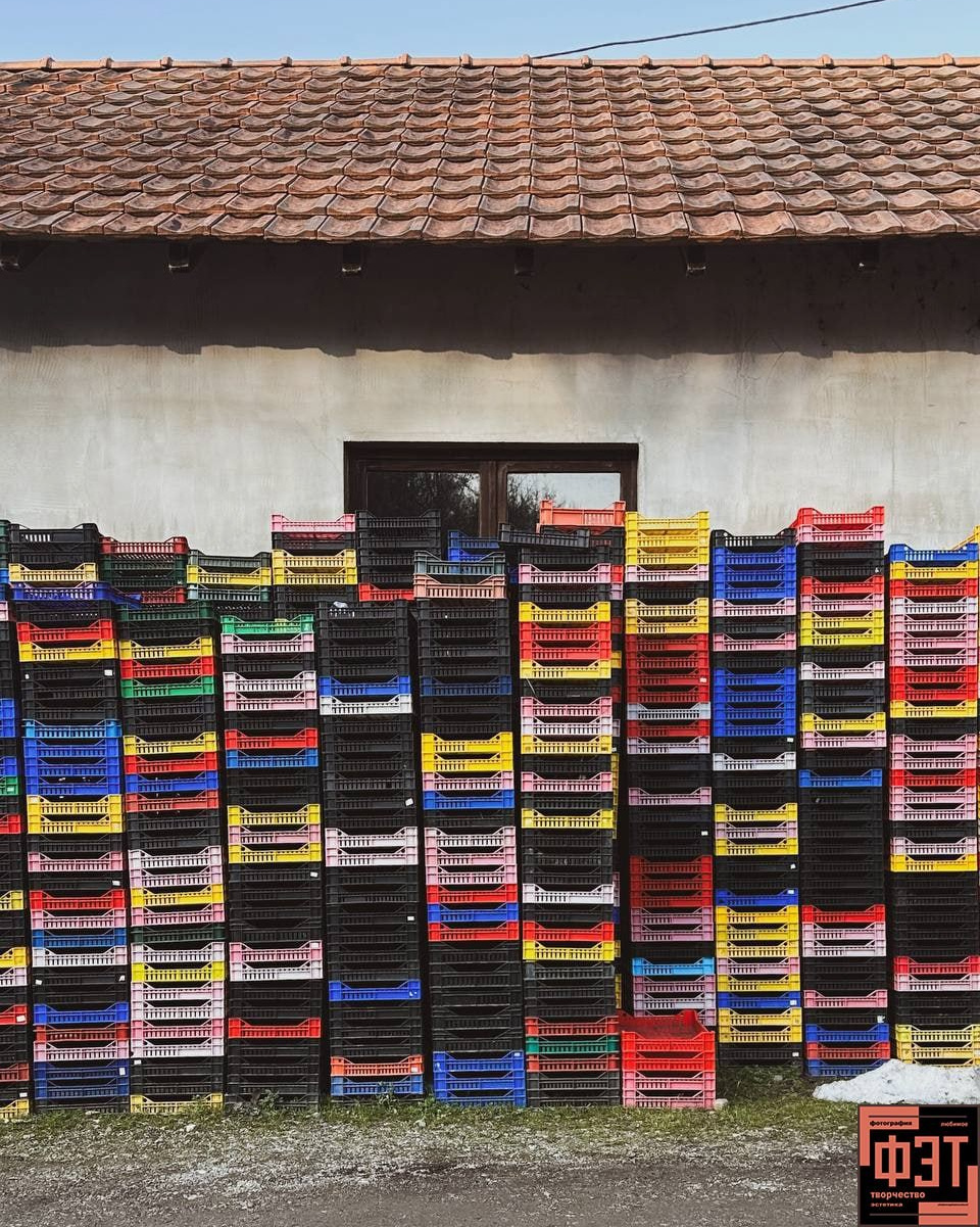 Альбом 15.02.26 в рамках ФЭТ