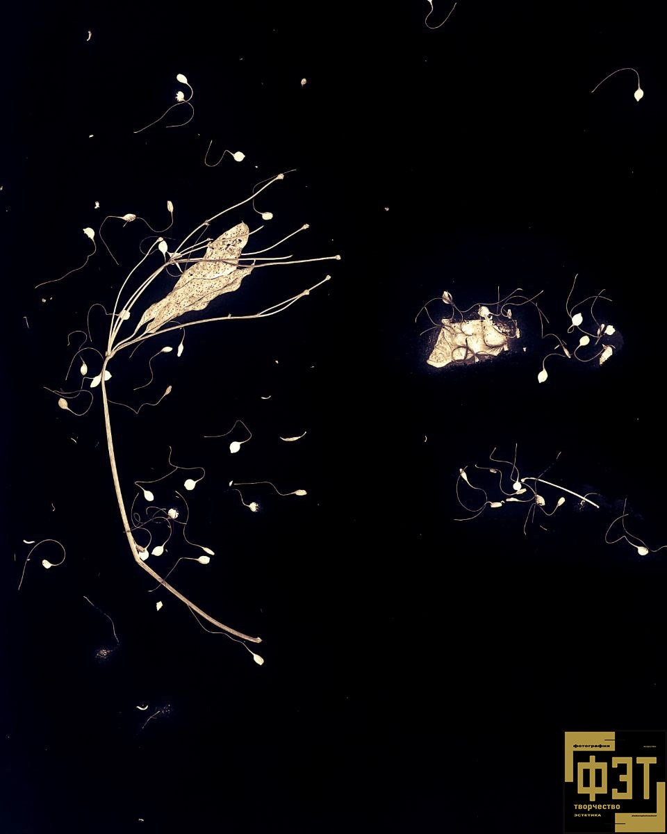 Выбор зрителей 01.03.26